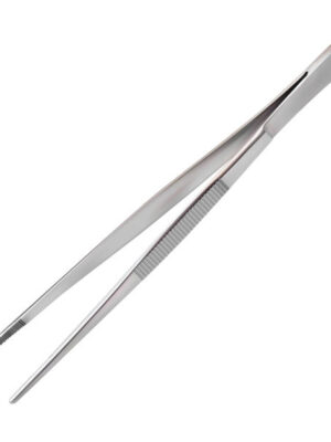 Istockphoto 1402809887 612x612